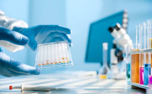 PANİK DEĞER VE PANİK DEĞER BİLDİRİMİ EĞİTİMİ