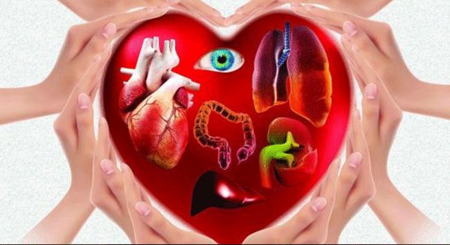 ORGAN BAĞIŞI VE ÖNEMİ EĞİTİMİ